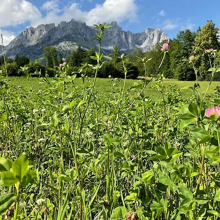 아파트 Belle Kitz By Belle