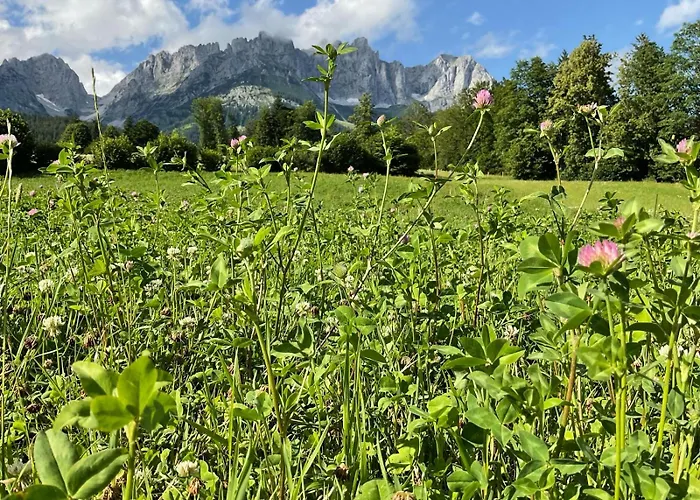 Lägenhet Belle Kitz By Belle