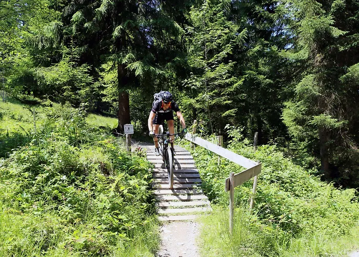 Lägenhet Belle Kitz By Belle